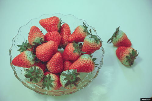 植物 草莓 水果 食品 膳食 菜 美食摄影图片图片壁纸 美食摄影图片图片壁纸